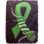 Traumatic Brain Injury Healing