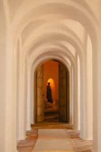 Viluz