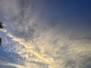 Sarasota Myofascial Release Therapy