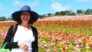 Cynthia M Clingan