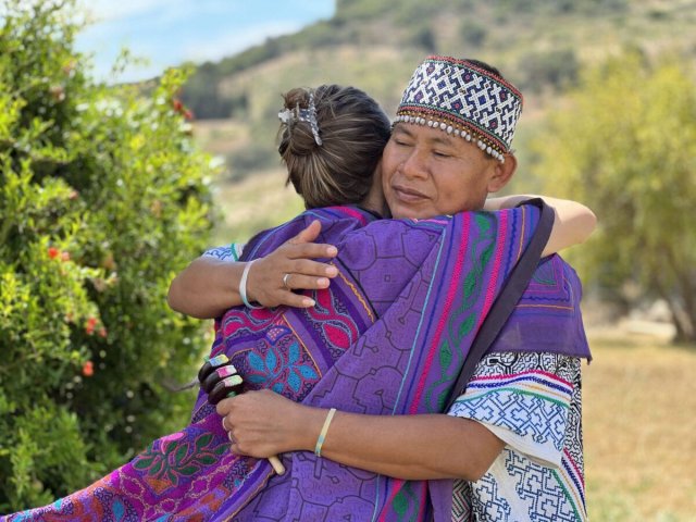 APL Shamanic Journeys