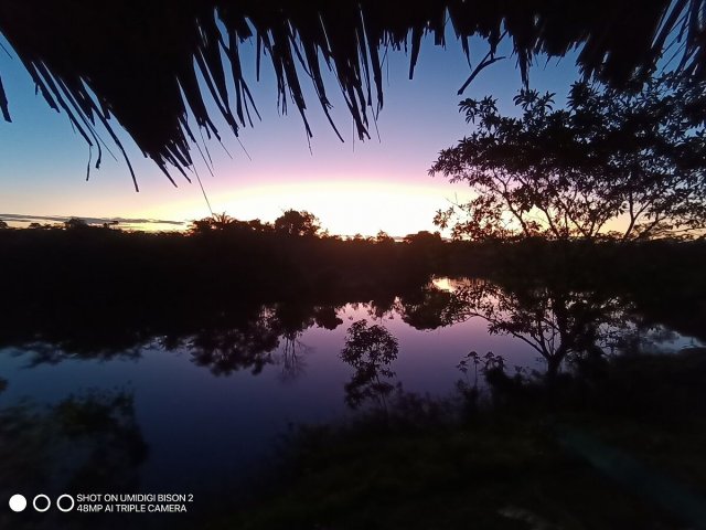 Paojilhuasca