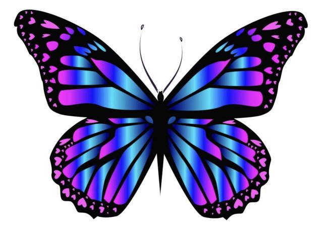 Full of Life Therapies: Mind,  Body,  Soul