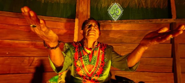 Divina Abuela Ayahuasca Shamanic Center