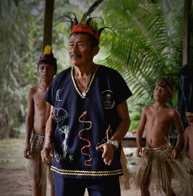 Amayas Ayahuasca