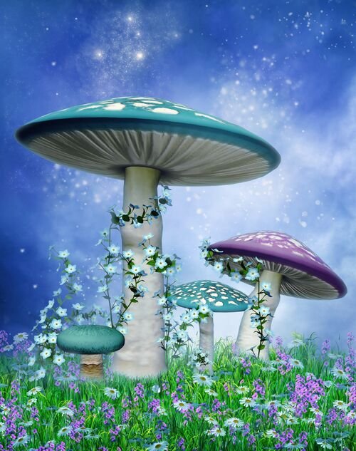 Gaia Sagrada Magic Mushroom Retreats