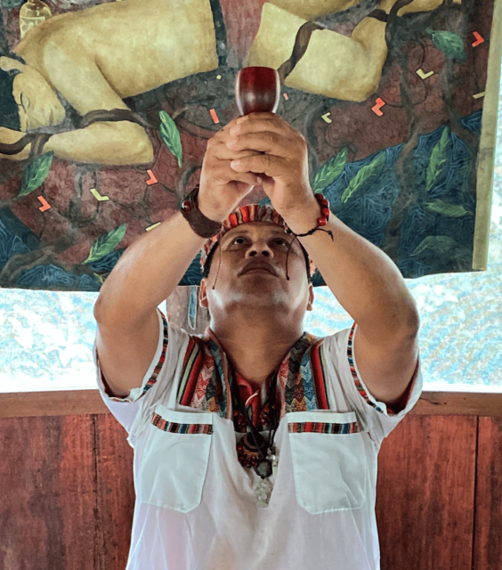Selva Madre Ayahuasca Retreat