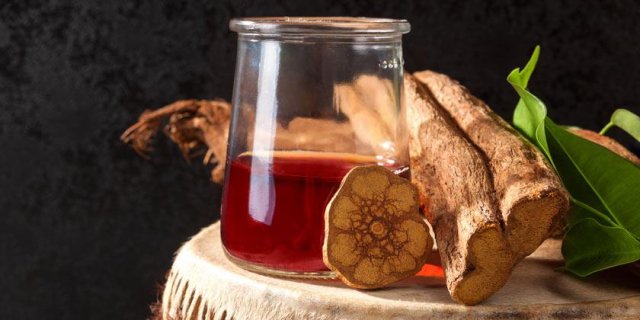 Shuar Ayahuasca Retreats