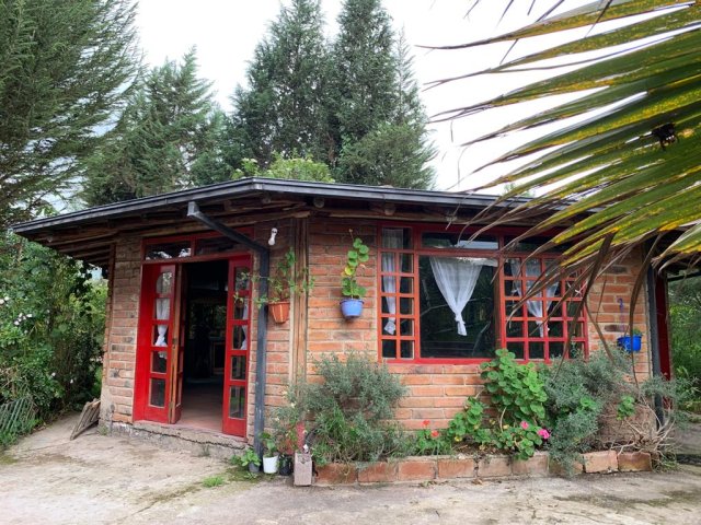 Alma Healing Center