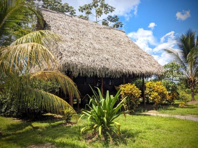Sowa Charana Ayahuasca Retreats