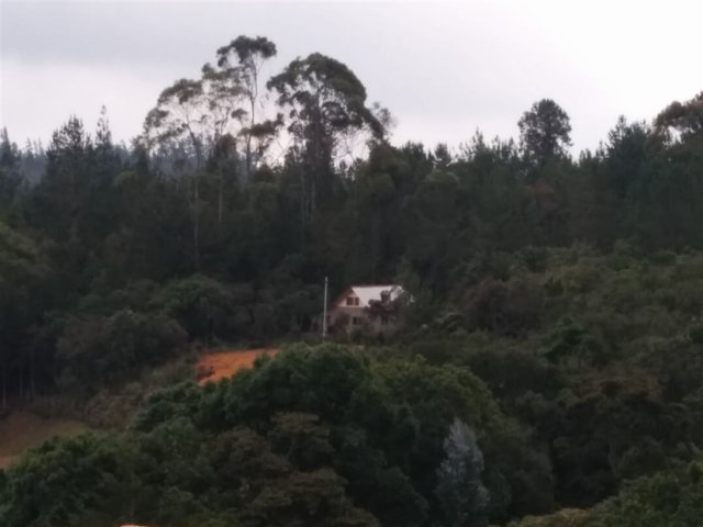 Rasa Healing Center