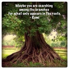 Tree of Life Therapeutic Bodywork